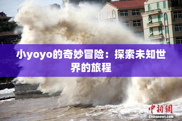 小yoyo的奇妙冒险：探索未知世界的旅程