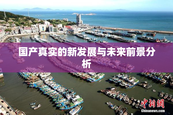 国产真实的新发展与未来前景分析