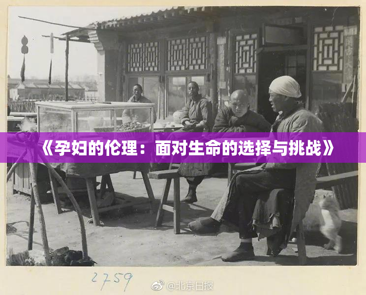 《孕妇的伦理：面对生命的选择与挑战》