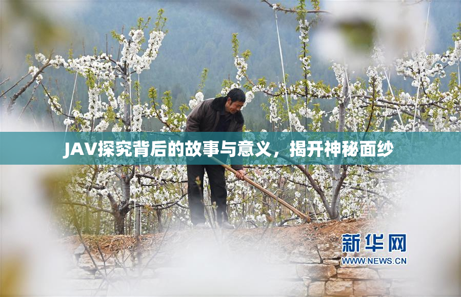 JAV探究背后的故事与意义，揭开神秘面纱