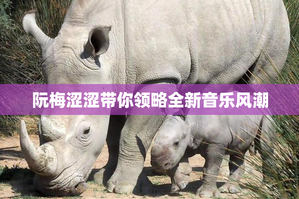 阮梅涩涩带你领略全新音乐风潮