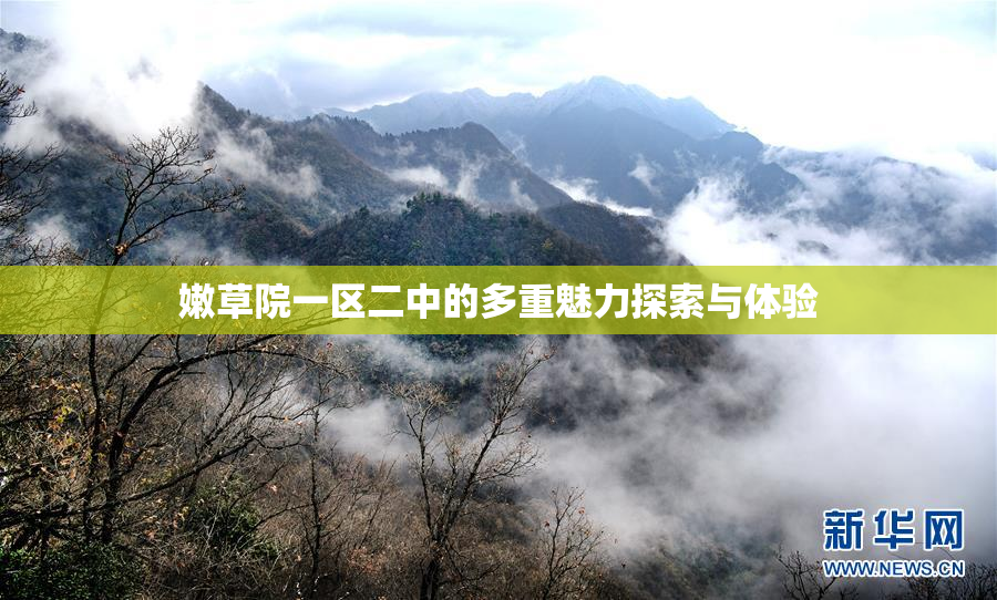 嫩草院一区二中的多重魅力探索与体验