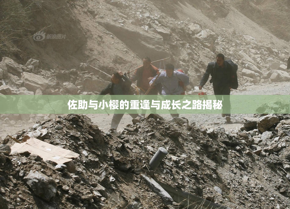 佐助与小樱的重逢与成长之路揭秘