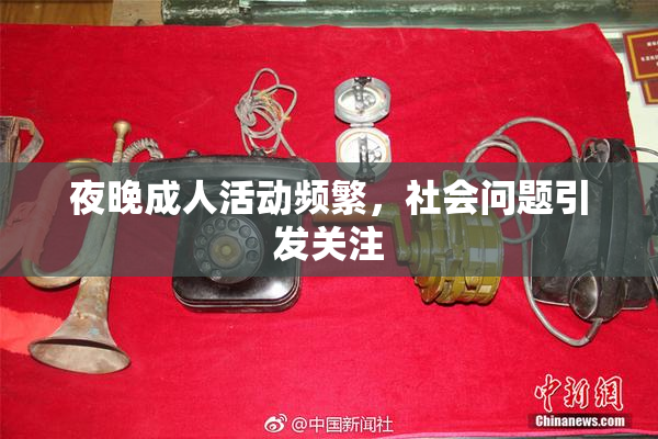 夜晚成人活动频繁，社会问题引发关注