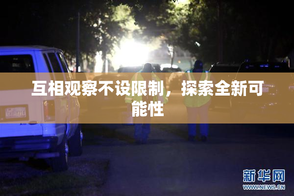 互相观察不设限制，探索全新可能性