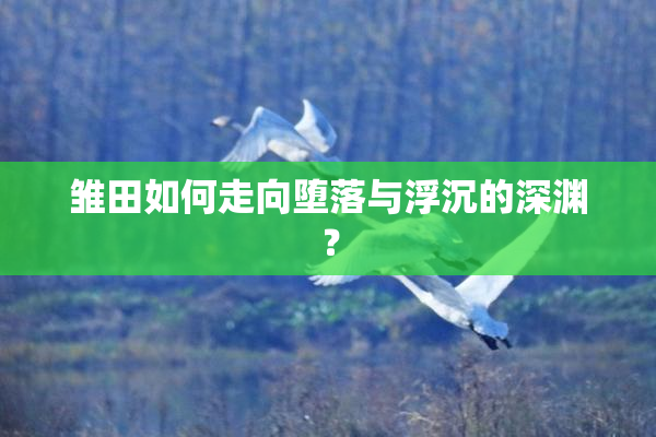 雏田如何走向堕落与浮沉的深渊？
