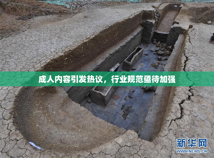 成人内容引发热议，行业规范亟待加强