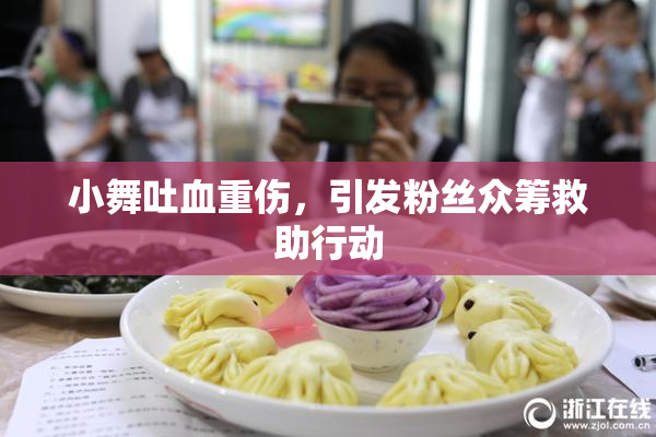 小舞吐血重伤，引发粉丝众筹救助行动