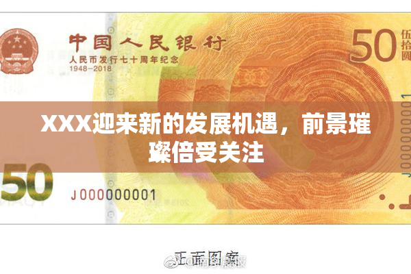 XXX迎来新的发展机遇，前景璀璨倍受关注