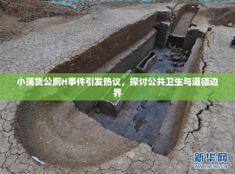 小荡货公厕H事件引发热议，探讨公共卫生与道德边界