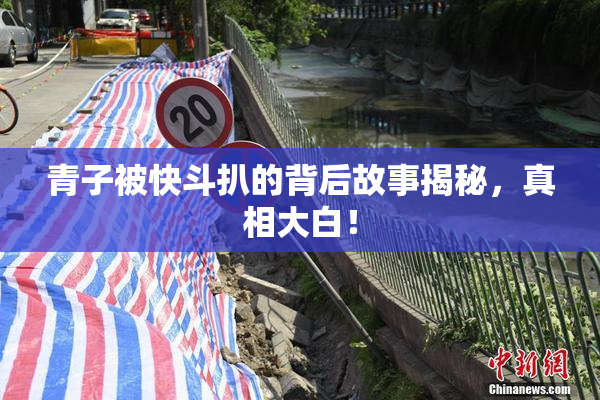 青子被快斗扒的背后故事揭秘，真相大白！