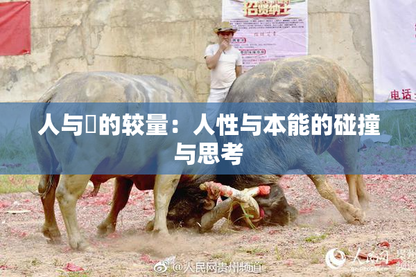 人与嘼的较量：人性与本能的碰撞与思考