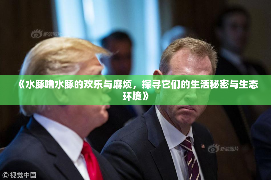 《水豚噜水豚的欢乐与麻烦，探寻它们的生活秘密与生态环境》