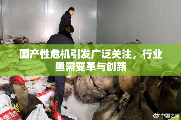 国产性危机引发广泛关注，行业亟需变革与创新