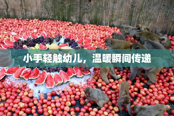 小手轻触幼儿，温暖瞬间传递