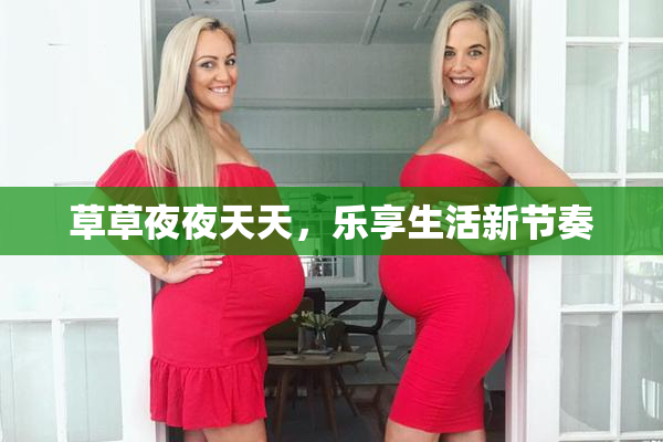 草草夜夜天天，乐享生活新节奏