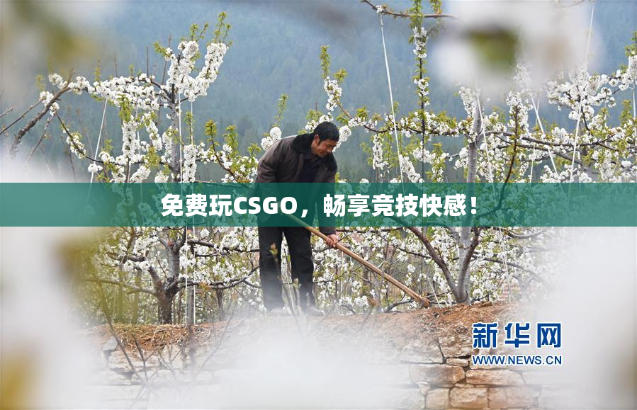 免费玩CSGO，畅享竞技快感！