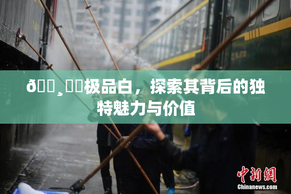 🌸‌✿极品白，探索其背后的独特魅力与价值