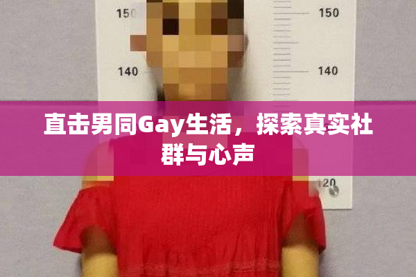 直击男同Gay生活，探索真实社群与心声