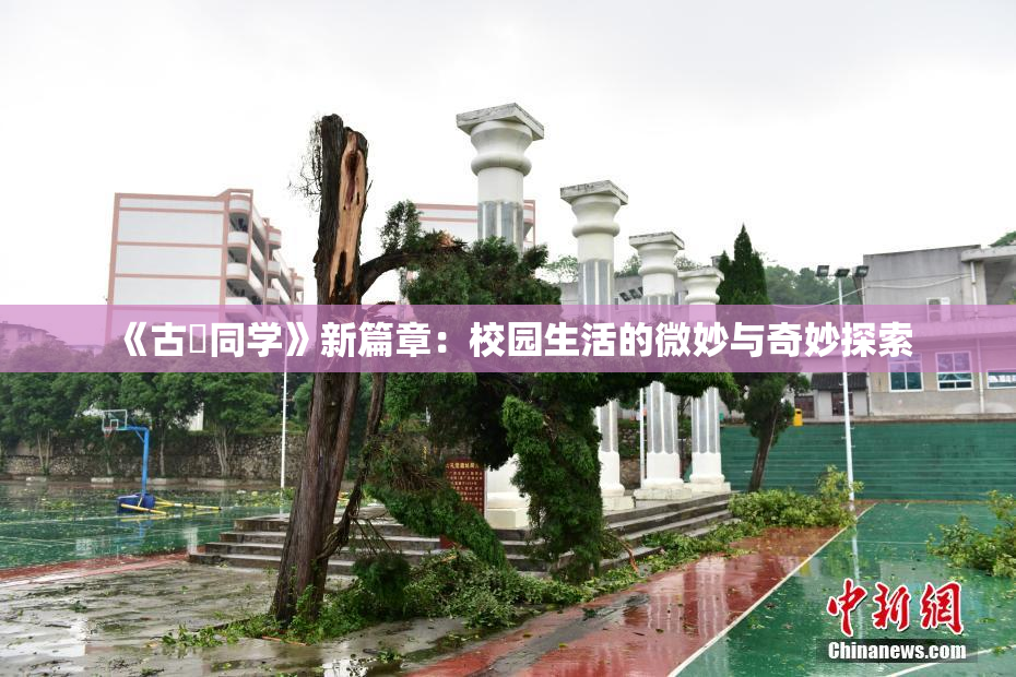 《古見同学》新篇章：校园生活的微妙与奇妙探索