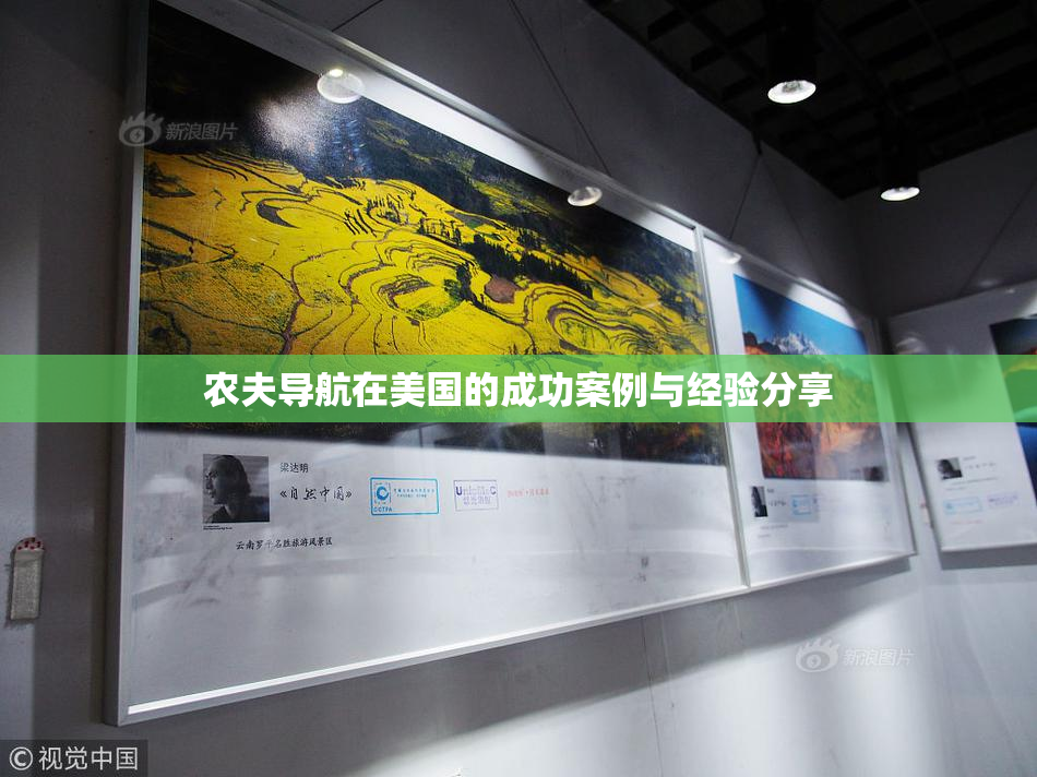 农夫导航在美国的成功案例与经验分享