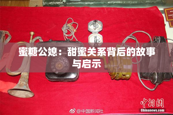 蜜糖公媳：甜蜜关系背后的故事与启示