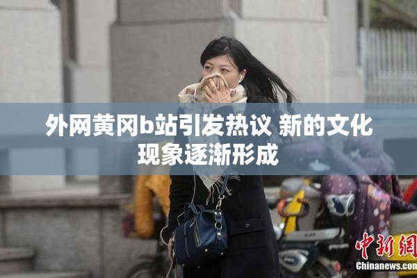 外网黄冈b站引发热议 新的文化现象逐渐形成