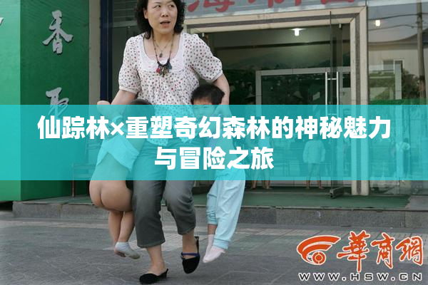 仙踪林×重塑奇幻森林的神秘魅力与冒险之旅