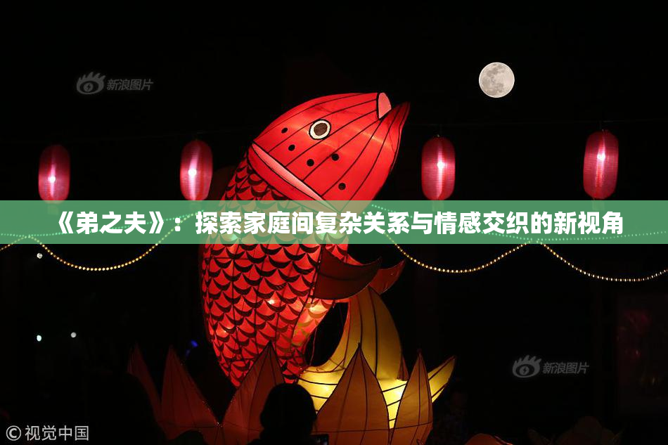 《弟之夫》：探索家庭间复杂关系与情感交织的新视角
