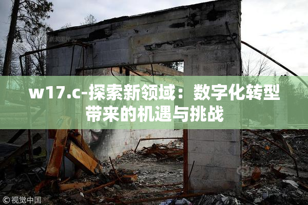 w17.c-探索新领域：数字化转型带来的机遇与挑战