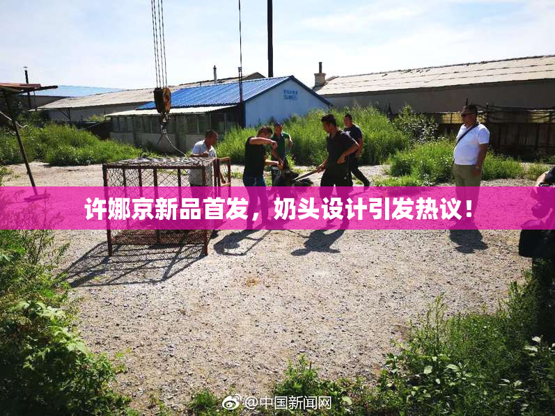 许娜京新品首发，奶头设计引发热议！