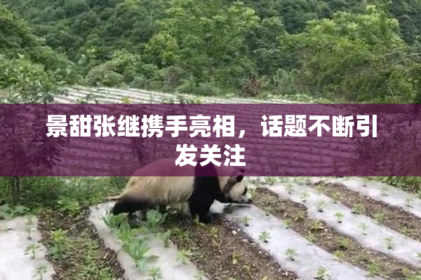 景甜张继携手亮相，话题不断引发关注