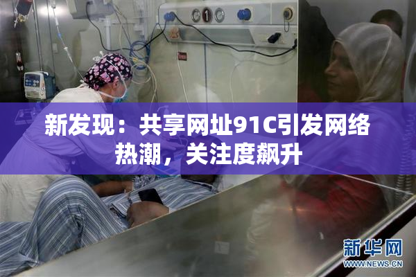 新发现：共享网址91C引发网络热潮，关注度飙升