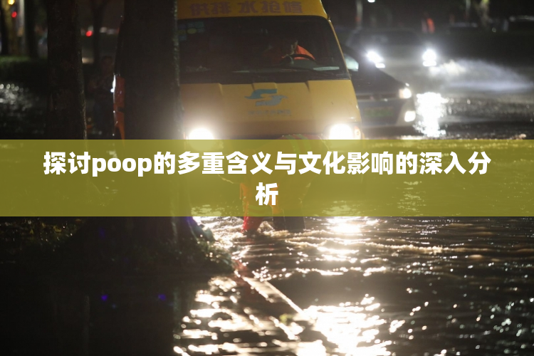 探讨poop的多重含义与文化影响的深入分析