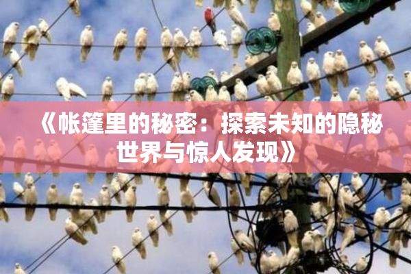 《帐篷里的秘密：探索未知的隐秘世界与惊人发现》