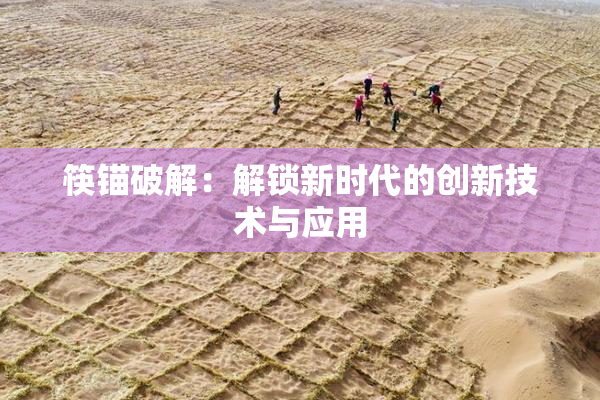 筷锚破解：解锁新时代的创新技术与应用