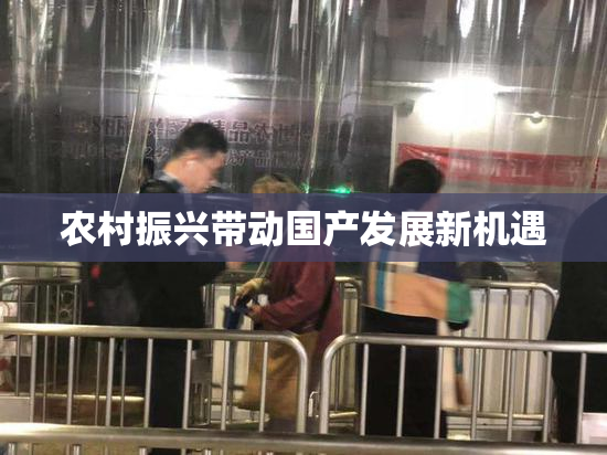 农村振兴带动国产发展新机遇