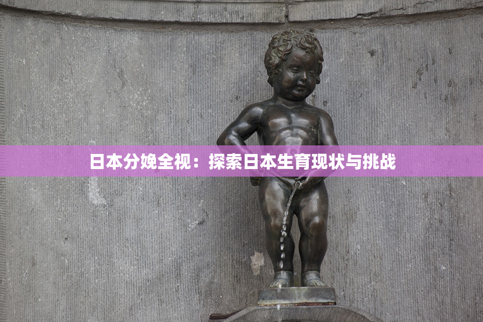 日本分娩全视：探索日本生育现状与挑战