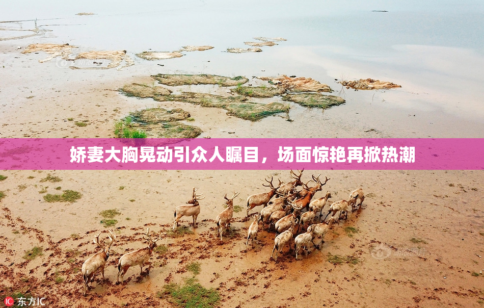 娇妻大胸晃动引众人瞩目，场面惊艳再掀热潮