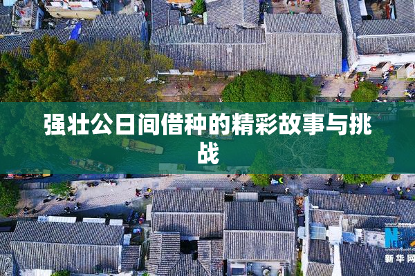强壮公日间借种的精彩故事与挑战