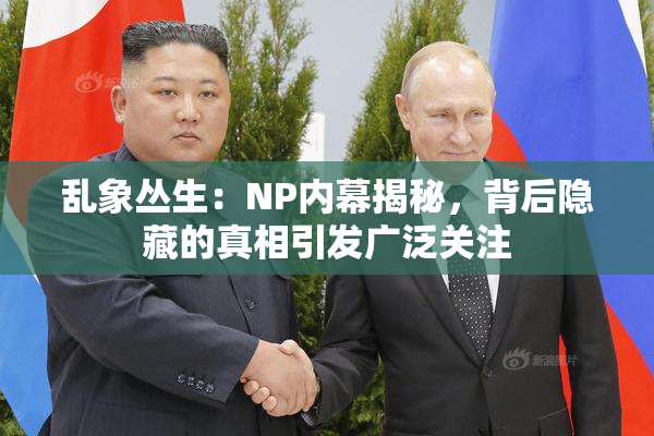 乱象丛生：NP内幕揭秘，背后隐藏的真相引发广泛关注