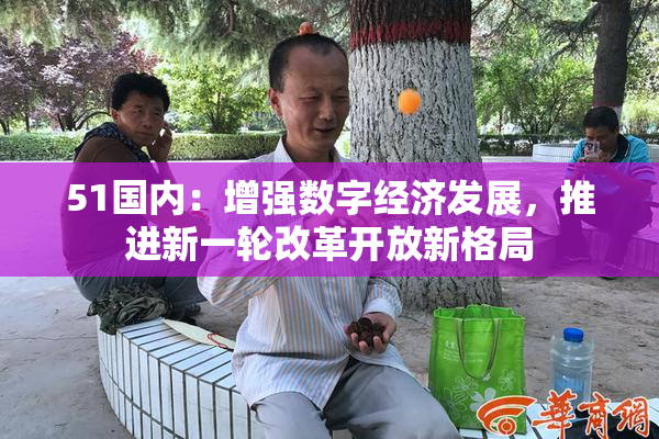 51国内：增强数字经济发展，推进新一轮改革开放新格局