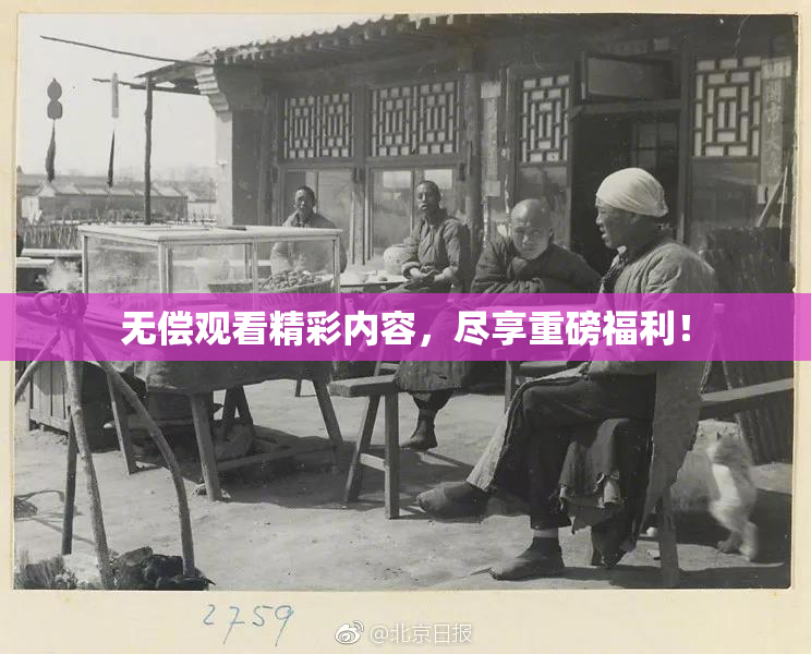 无偿观看精彩内容，尽享重磅福利！