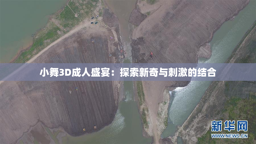 小舞3D成人盛宴：探索新奇与刺激的结合