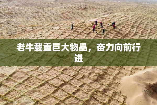 老牛载重巨大物品，奋力向前行进