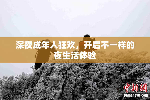 深夜成年人狂欢，开启不一样的夜生活体验