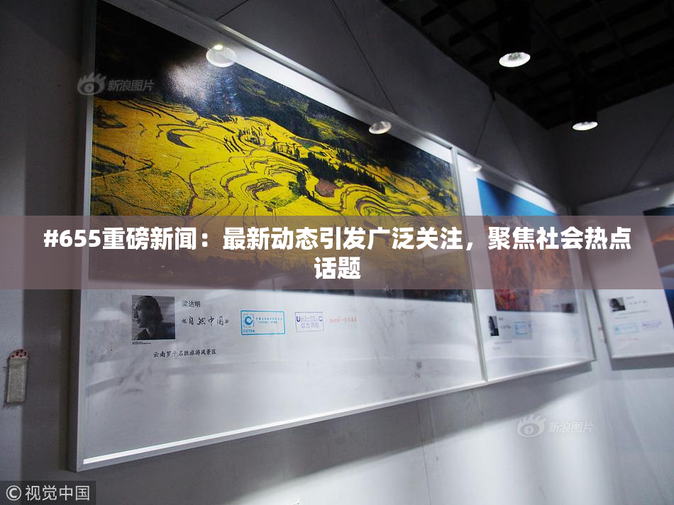 #655重磅新闻：最新动态引发广泛关注，聚焦社会热点话题