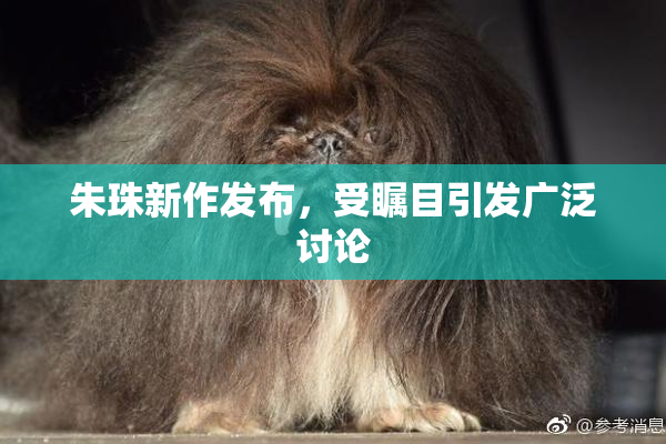 朱珠新作发布，受瞩目引发广泛讨论