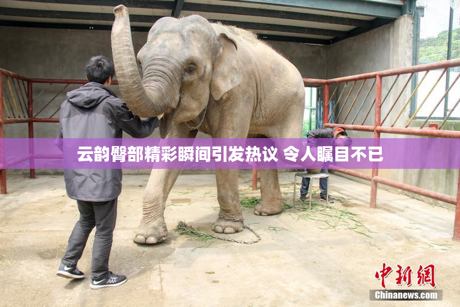 云韵臀部精彩瞬间引发热议 令人瞩目不已