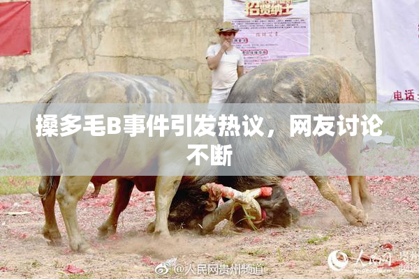 搡多毛B事件引发热议，网友讨论不断